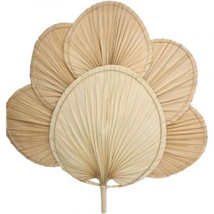 palm leaf Fan