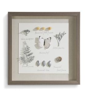 wanddecoratie Discoveries 