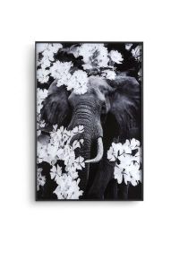 schilderij Flower Elephant 